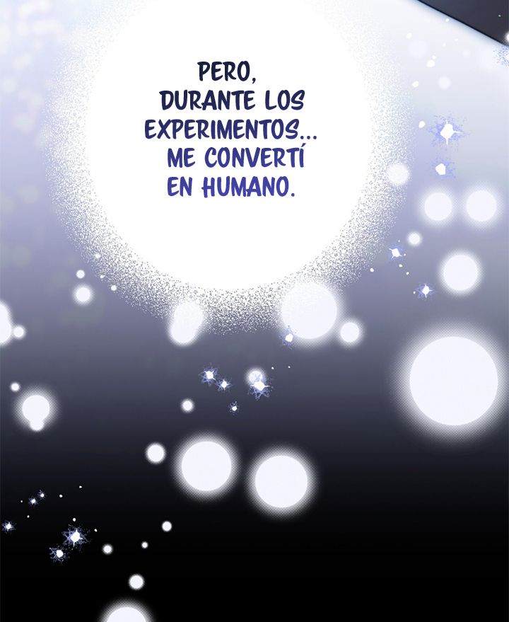 54 A Mi Querido Lobo