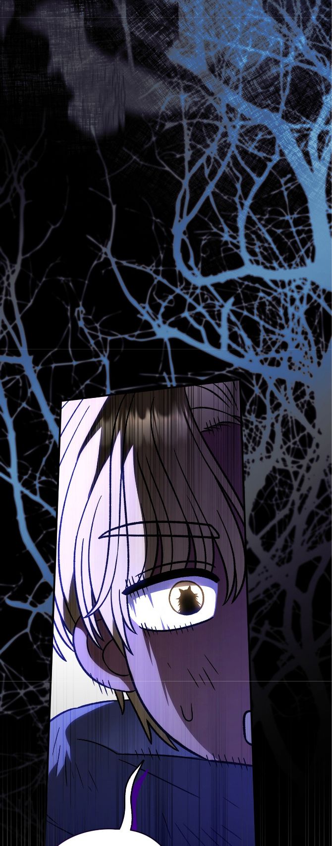 41 A Mi Querido Lobo