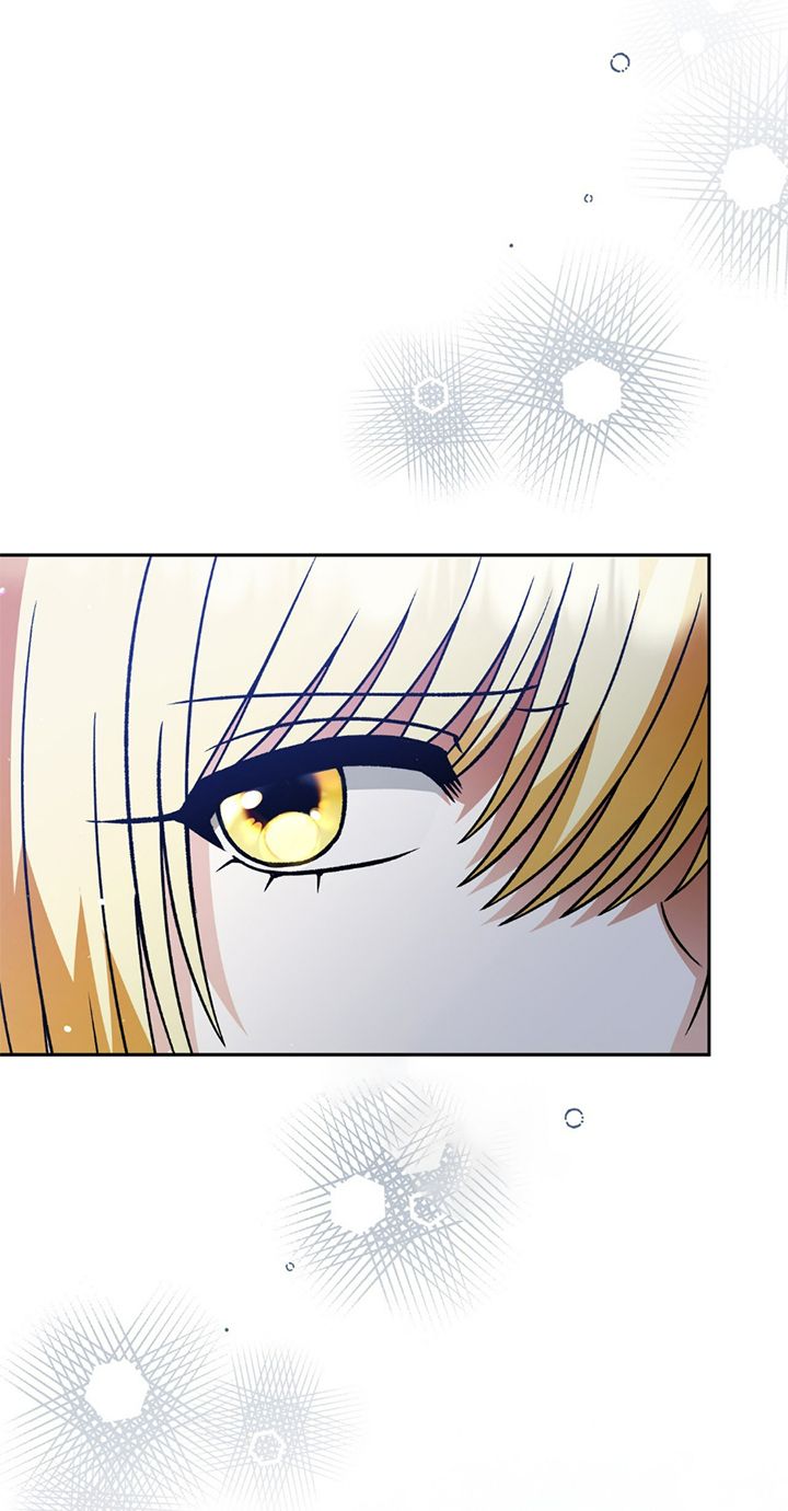 73 A Mi Querido Lobo