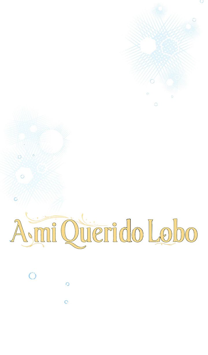 14 A Mi Querido Lobo