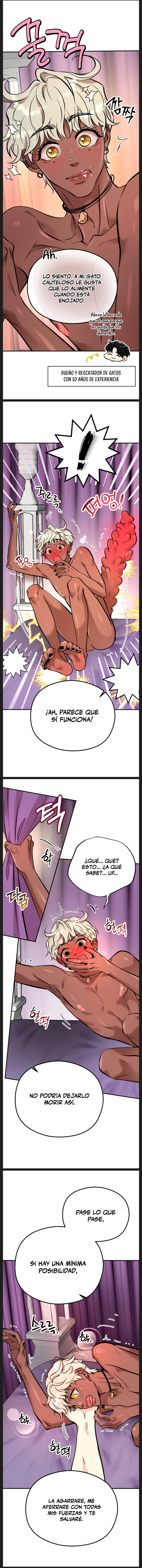 5 Panadería: Tentaciones recién horneadas