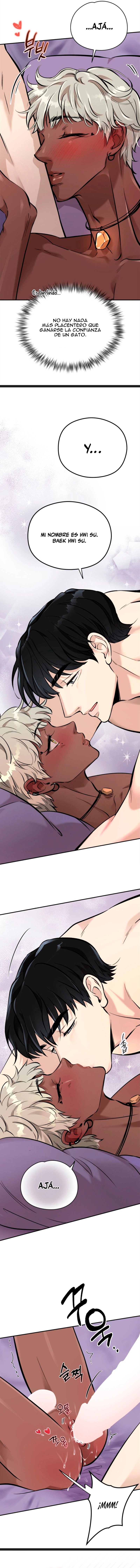 4 Panadería: Tentaciones recién horneadas