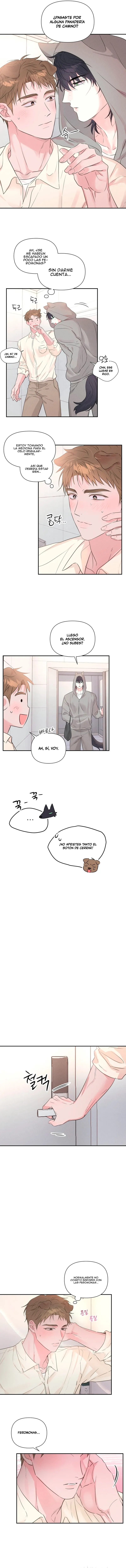 5 Panadería: Tentaciones recién horneadas