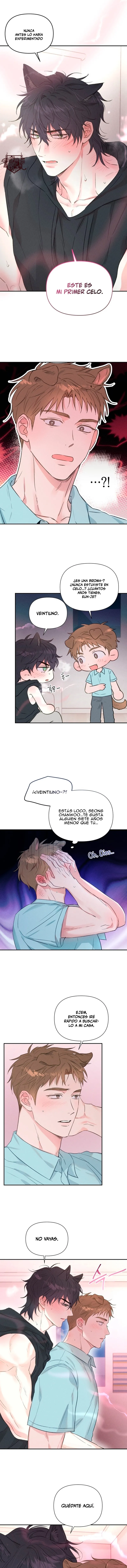 4 Panadería: Tentaciones recién horneadas