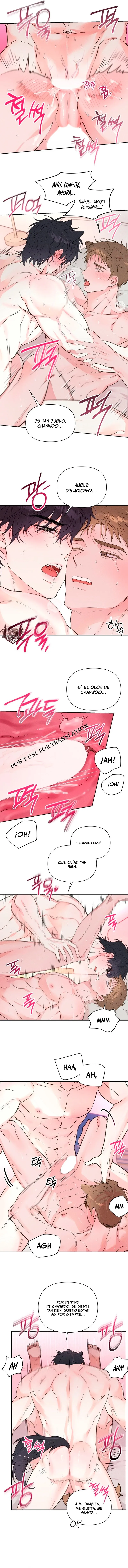 7 Panadería: Tentaciones recién horneadas