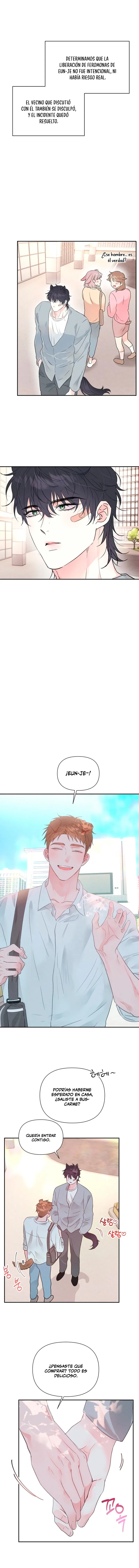 8 Panadería: Tentaciones recién horneadas