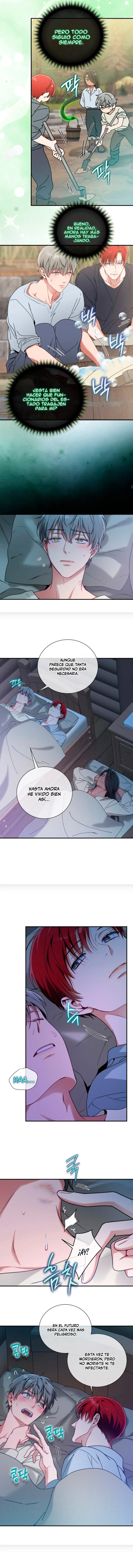 8 Panadería: Tentaciones recién horneadas