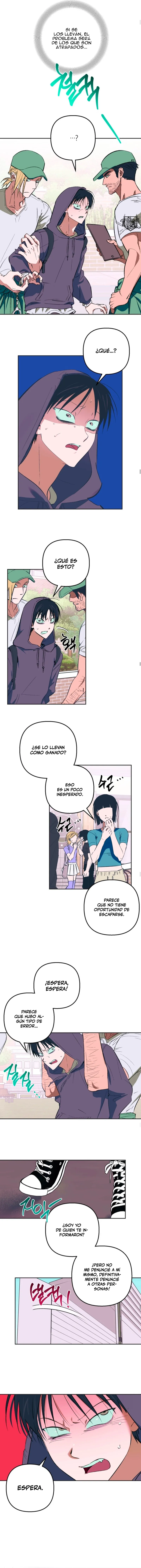 5 Panadería: Tentaciones recién horneadas