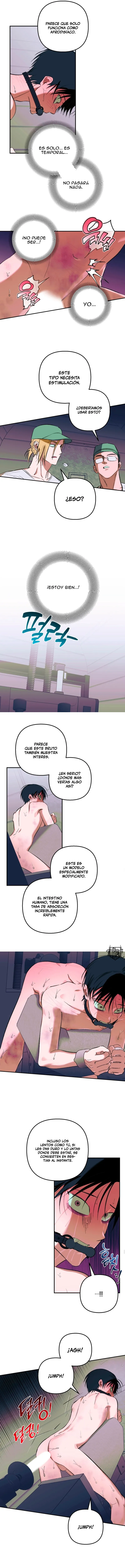 6 Panadería: Tentaciones recién horneadas