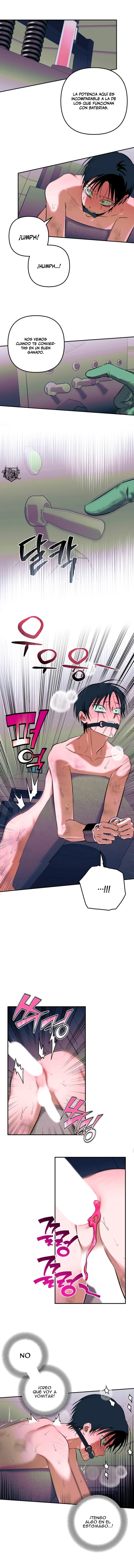 7 Panadería: Tentaciones recién horneadas