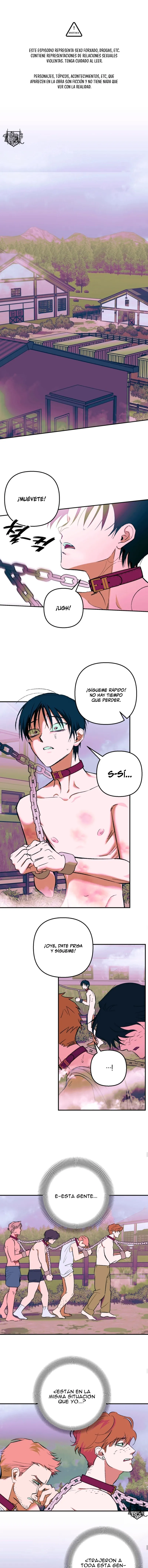 0 Panadería: Tentaciones recién horneadas