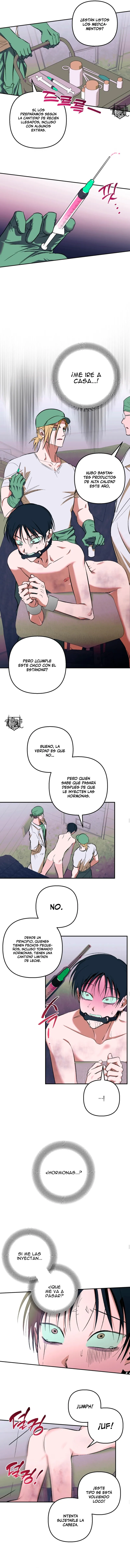 4 Panadería: Tentaciones recién horneadas