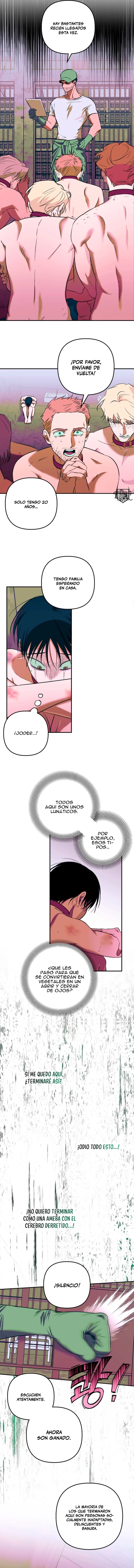 2 Panadería: Tentaciones recién horneadas