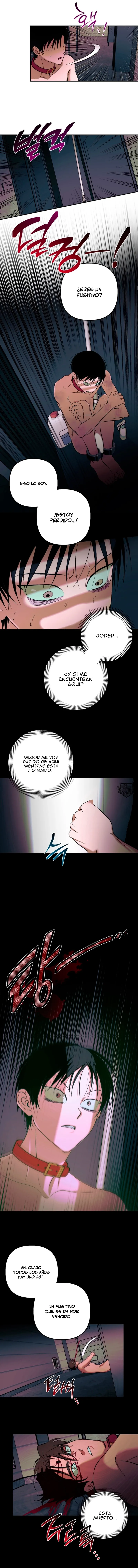 6 Panadería: Tentaciones recién horneadas