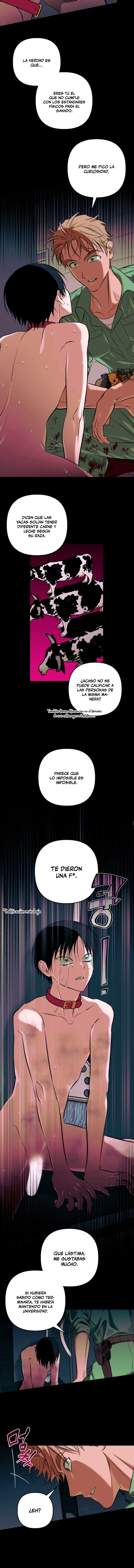 3 Panadería: Tentaciones recién horneadas