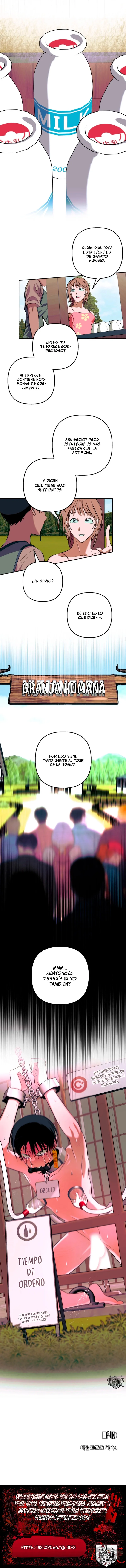 9 Panadería: Tentaciones recién horneadas