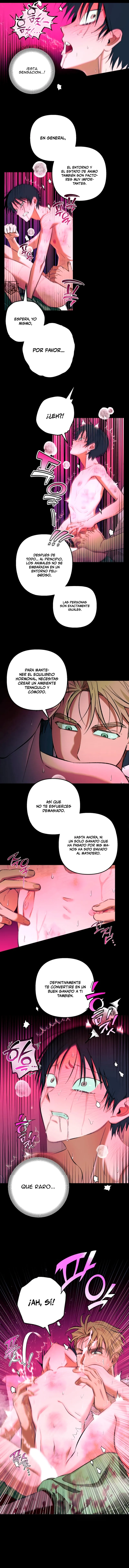 7 Panadería: Tentaciones recién horneadas