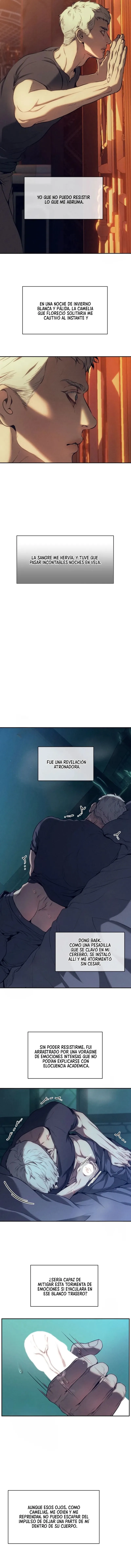 5 Panadería: Tentaciones recién horneadas