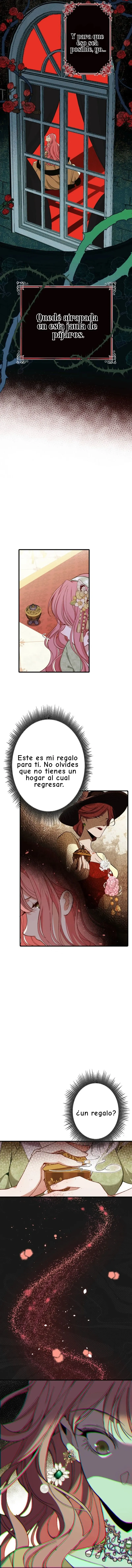 6 Mi marido por contrato me ama