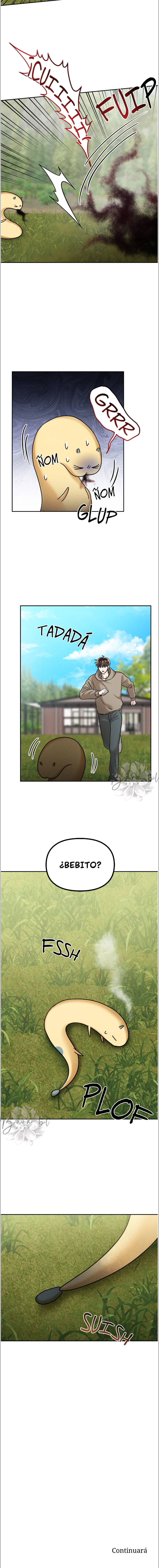 3 El loto y lo perdido