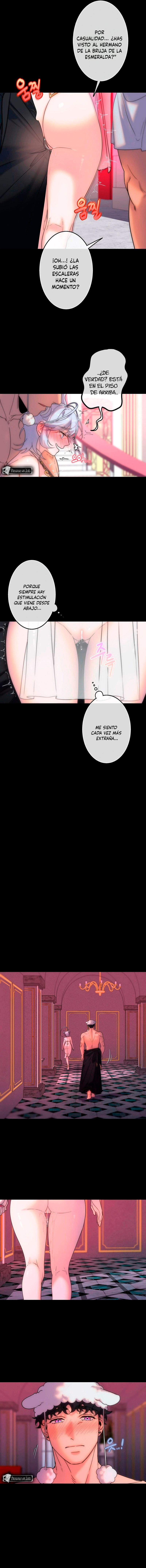 5 Los Tesoros de la Bruja