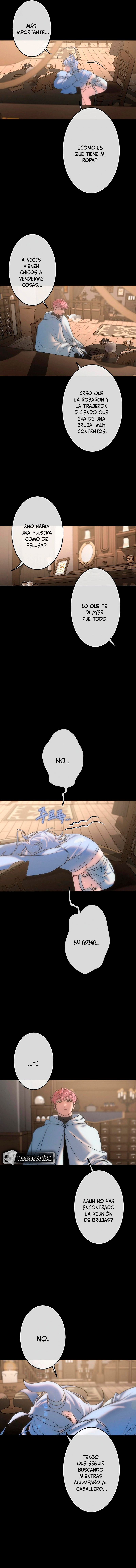 6 Los Tesoros de la Bruja