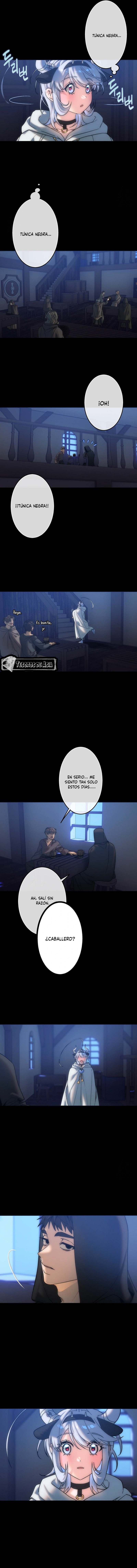 5 Los Tesoros de la Bruja