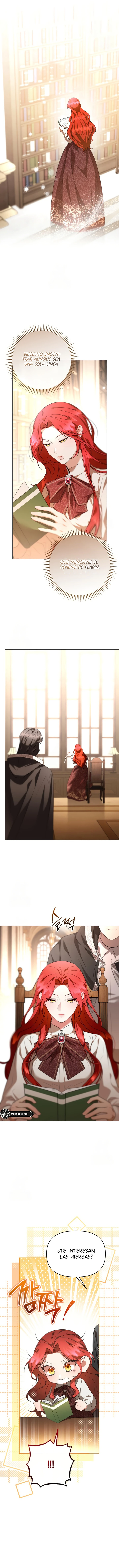 13 Para el duque perfecto