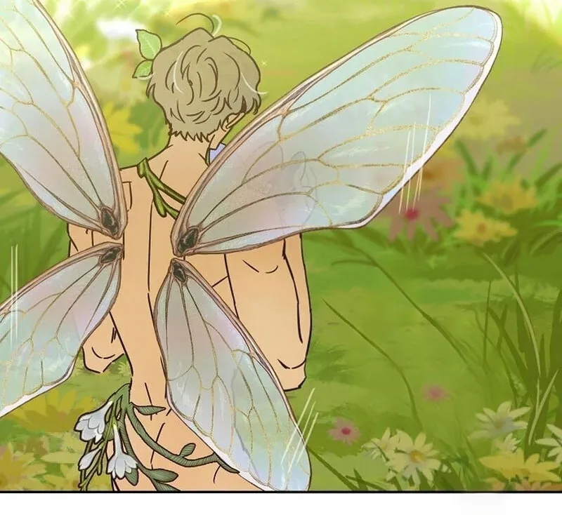 92 Mi pequeño hada