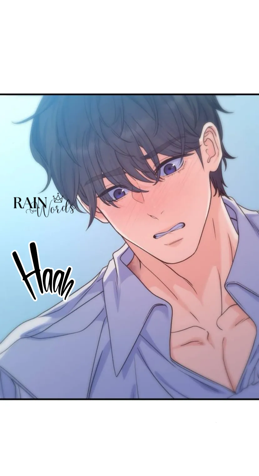 66 Por un final feliz perfecto