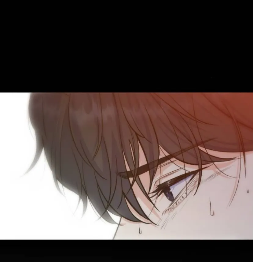 71 Por un final feliz perfecto