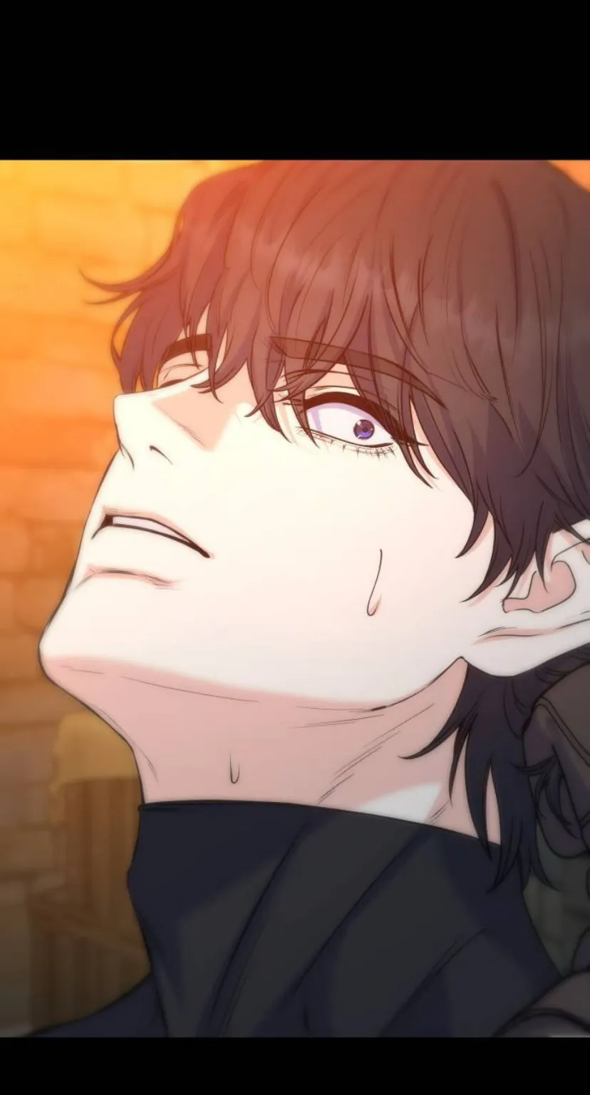 61 Por un final feliz perfecto