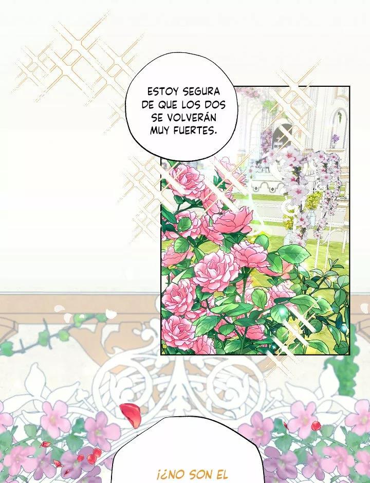 5 Falle En Divorciarme de Mi Esposo