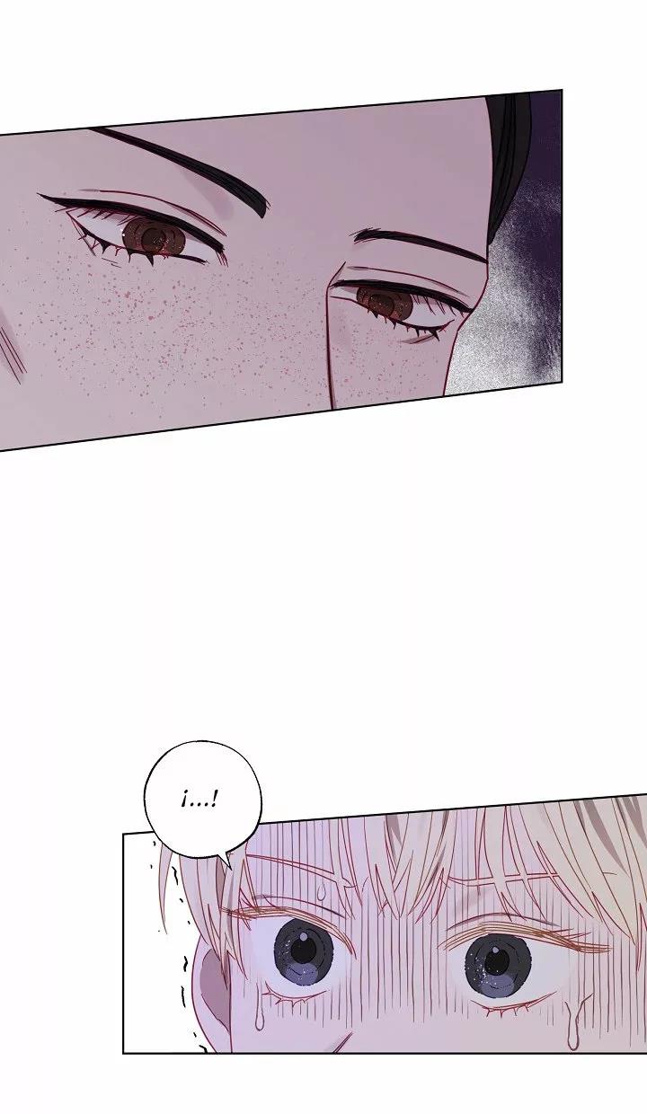 39 Falle En Divorciarme de Mi Esposo