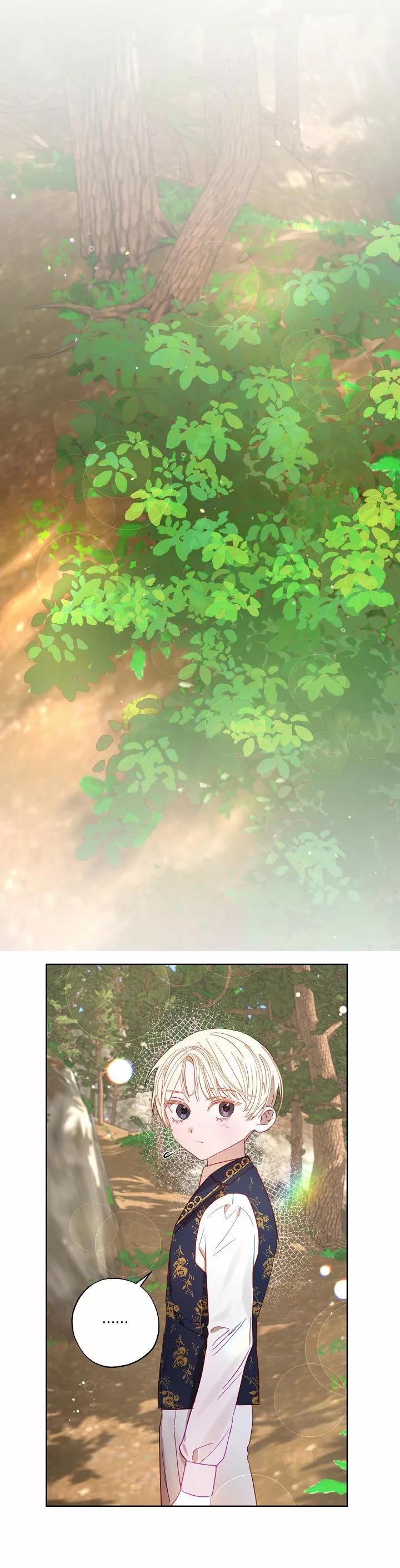 44 Falle En Divorciarme de Mi Esposo