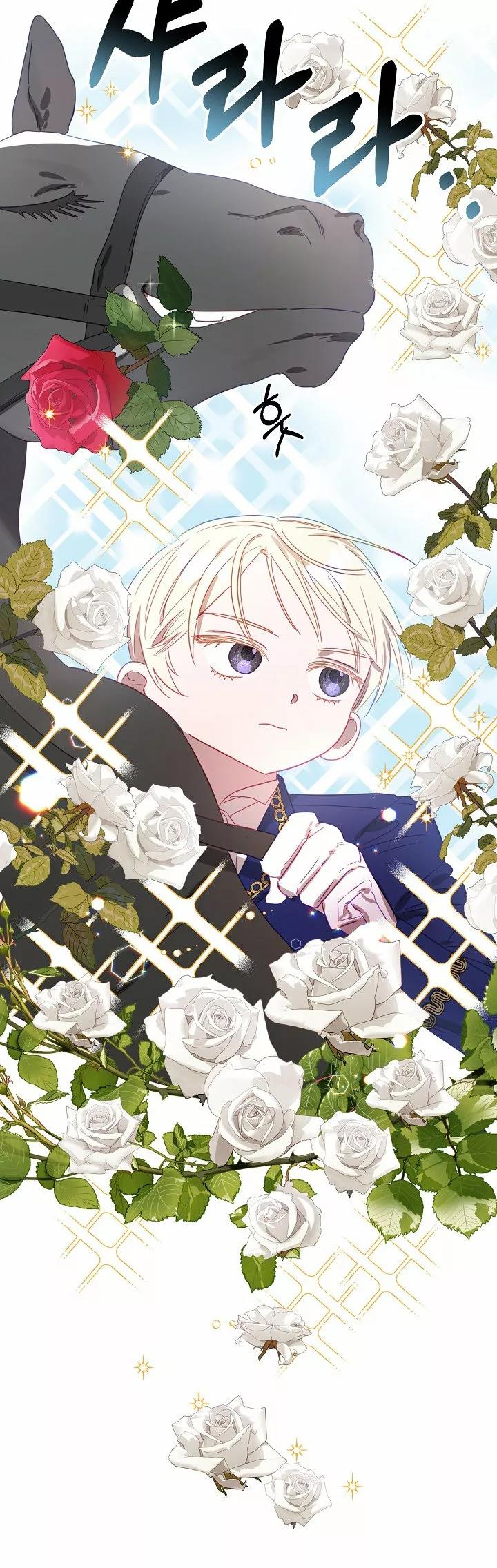 53 Falle En Divorciarme de Mi Esposo