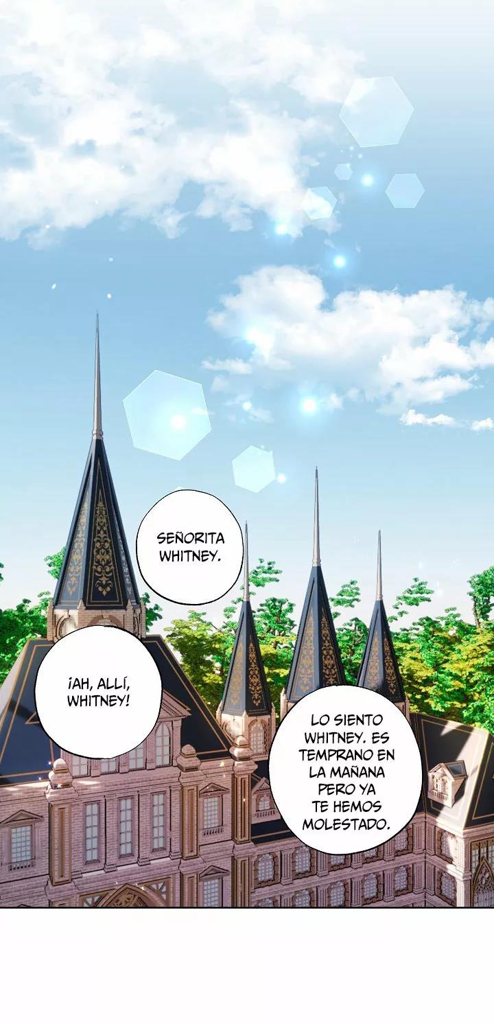 41 Falle En Divorciarme de Mi Esposo