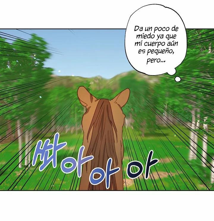 22 Falle En Divorciarme de Mi Esposo