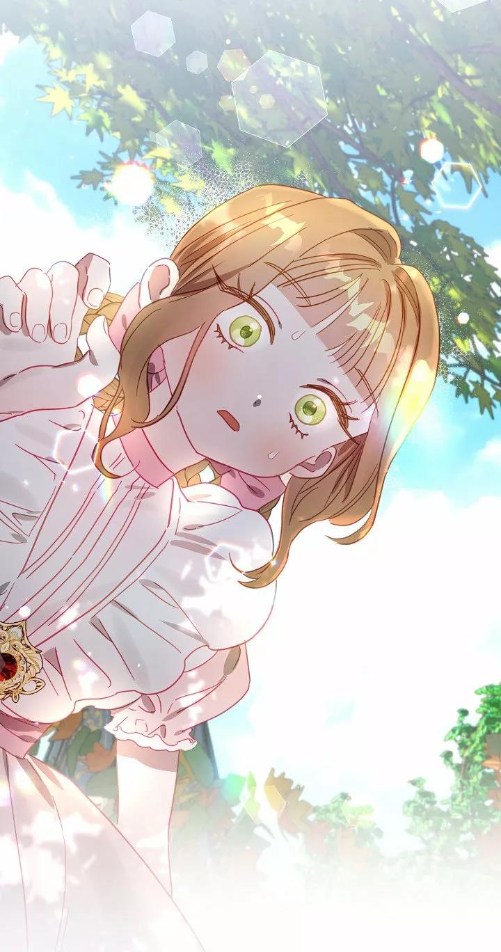 52 Falle En Divorciarme de Mi Esposo