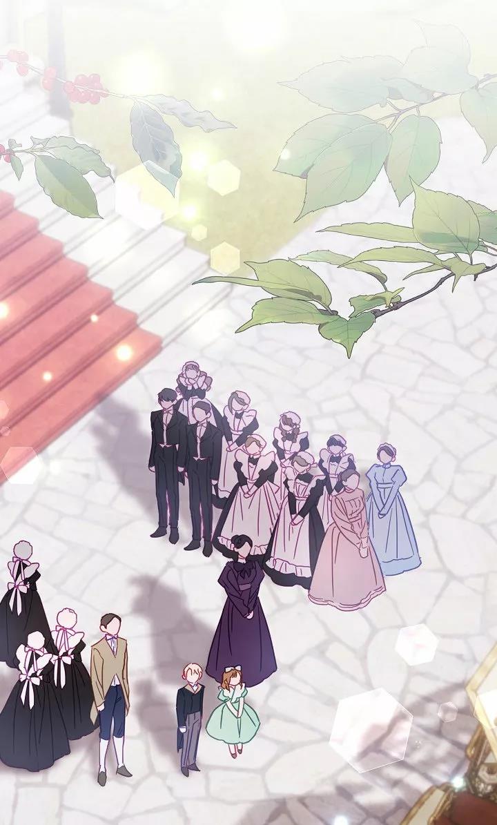 8 Falle En Divorciarme de Mi Esposo