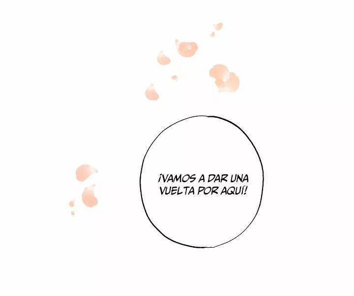 40 Falle En Divorciarme de Mi Esposo