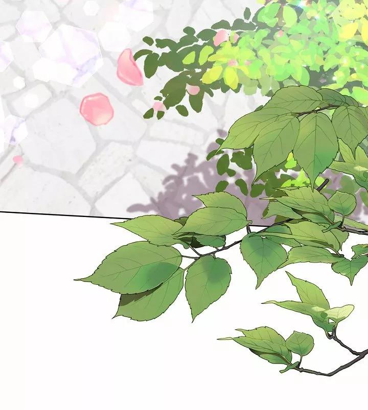 64 Falle En Divorciarme de Mi Esposo