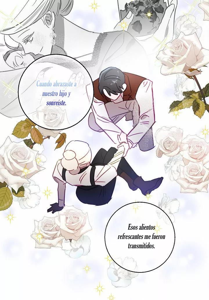 41 Falle En Divorciarme de Mi Esposo