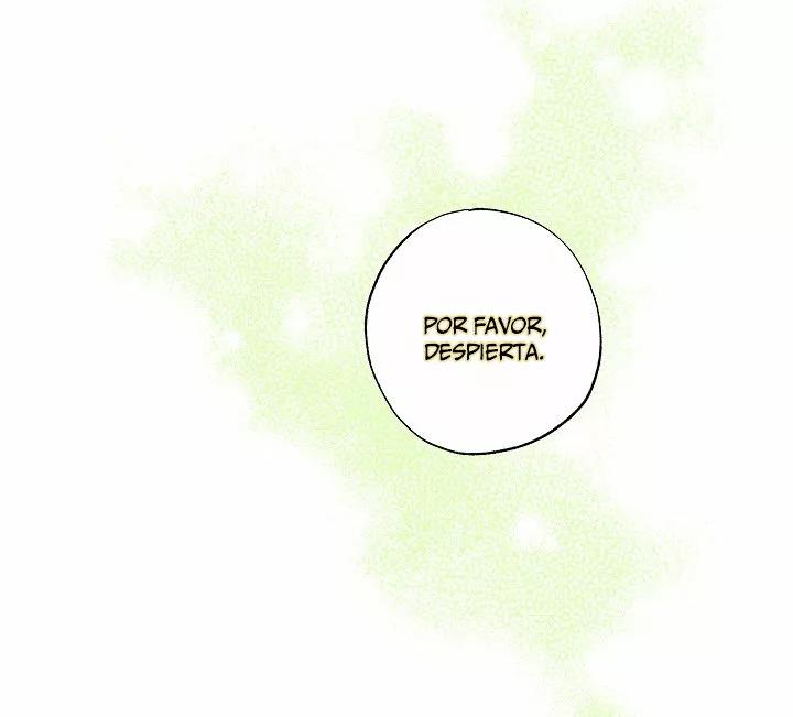 17 Falle En Divorciarme de Mi Esposo