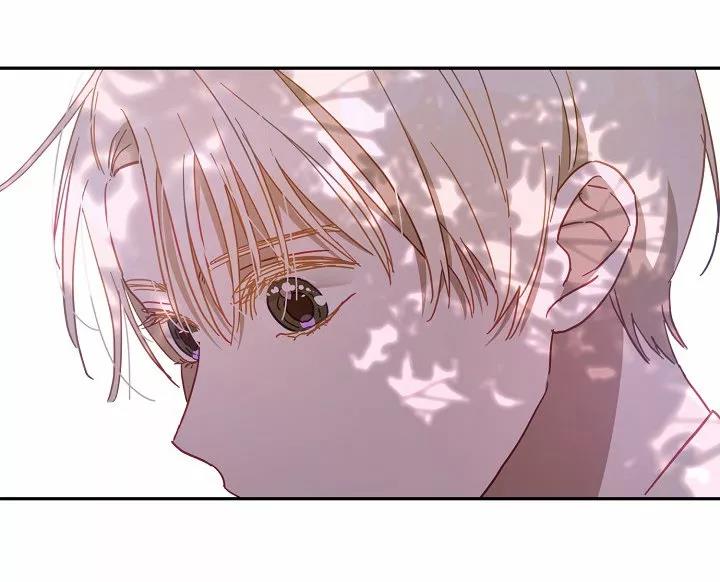 48 Falle En Divorciarme de Mi Esposo