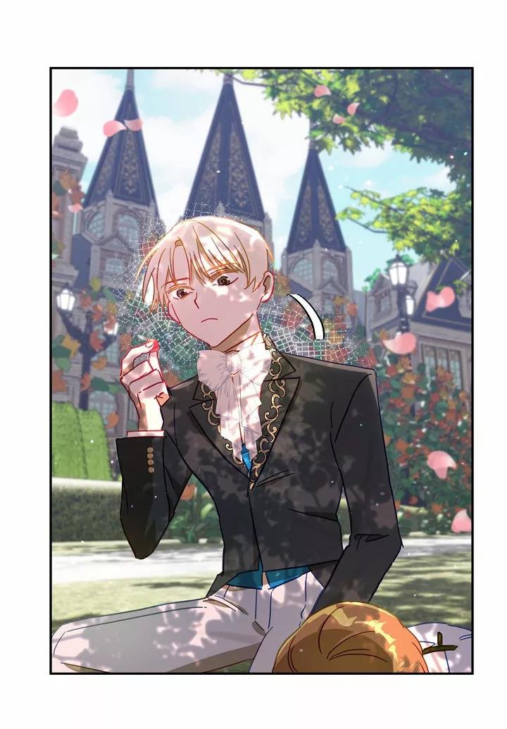 50 Falle En Divorciarme de Mi Esposo