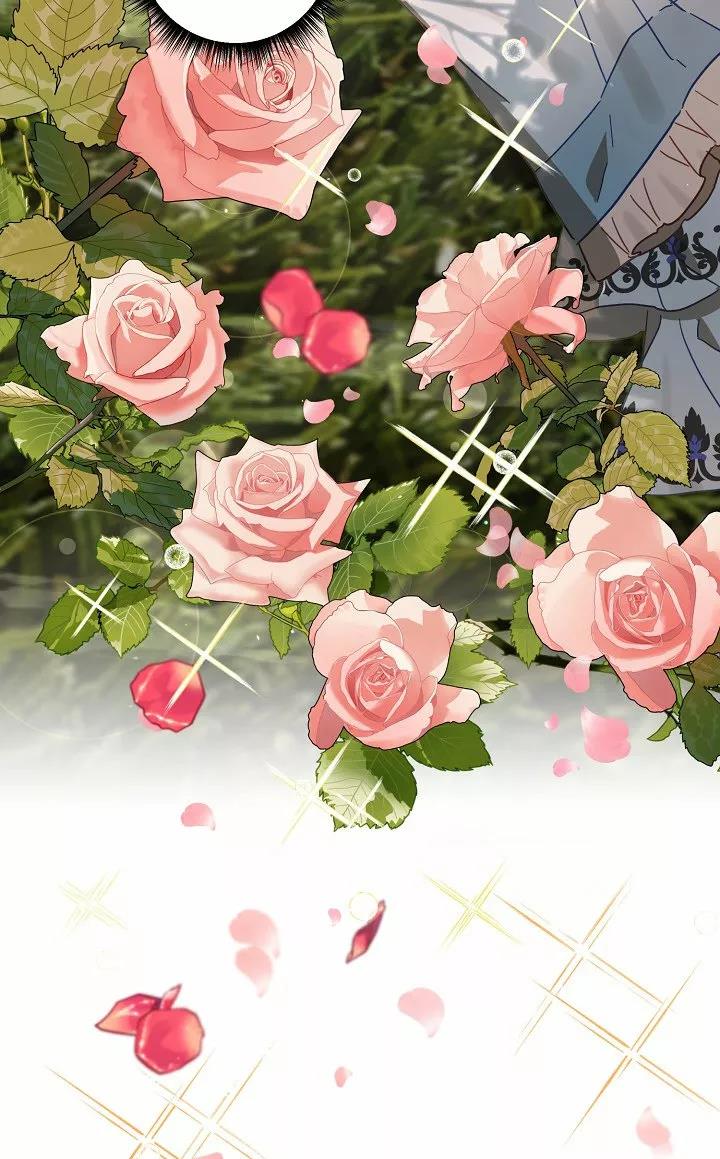 5 Falle En Divorciarme de Mi Esposo