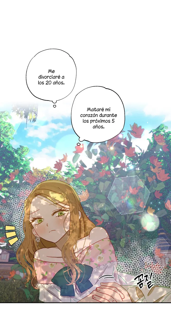 50 Falle En Divorciarme de Mi Esposo