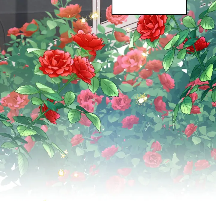 1 Falle En Divorciarme de Mi Esposo