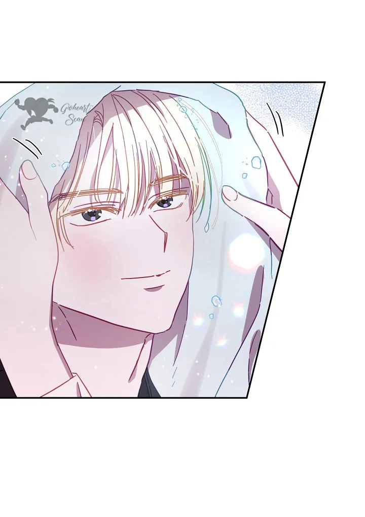 8 Falle En Divorciarme de Mi Esposo